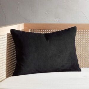 CB2 by Crate & Barrel LOKI BLACK SUEDE THROW LUMBAR PILLOW DOWN INSERT 18”x12”